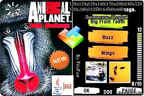 Здесь можно скачать Animal Planet Trivia Challenge / Планета животных из каталога Игры