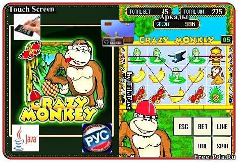 здесь можно скачать Crazy M / Безумная обезьяна из каталога Игры Здесь можно скачать Crazy M / Безумная обезьяна из каталога Игры