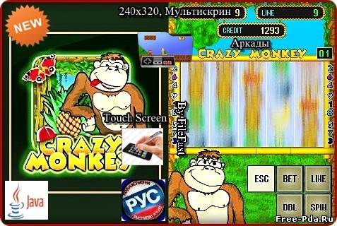 Здесь можно скачать Crazy Monkey / Безумная обезьяна из каталога Игры
