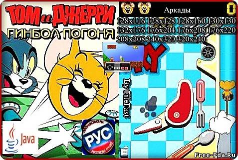 Здесь можно скачать Tom and Jerry Pinball Pursuit+RU / Том и Джерри: Пинбол Погоня из каталога Игры